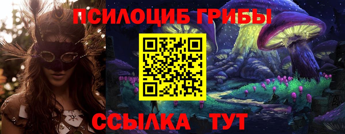 Псилоцибиновые грибы мухоморы Кимовск